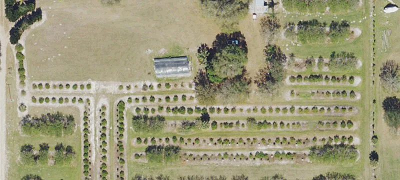World-Class Hunting Preserve on Charlie Creek