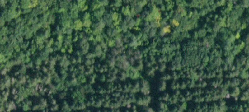 50 Acres Development Lot