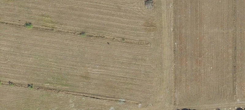 48 Acres of Cleared Land