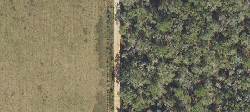Secluded Hunting/Recreational Land For Sale