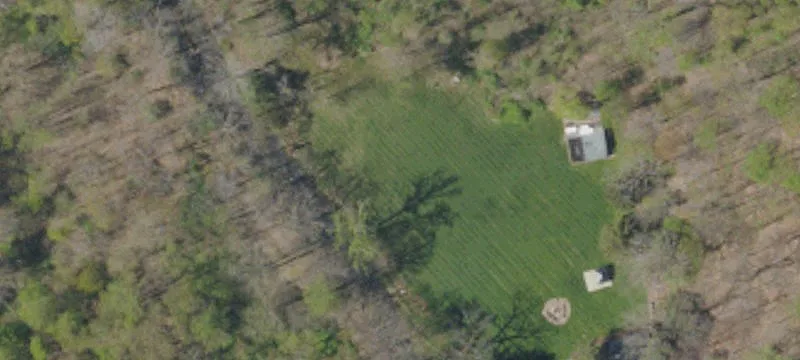 29 Acres of Wooded Land