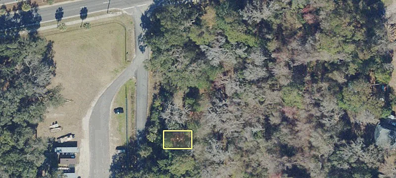 Amelia Island Commercial Lot Opportunity