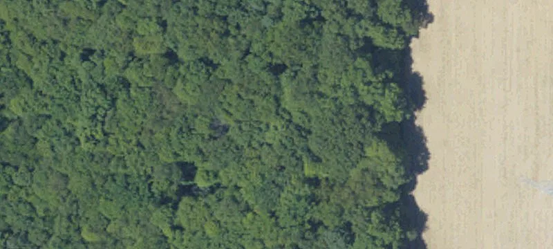 Commercial Land For Sale