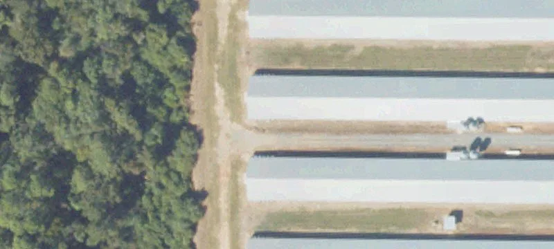 Colquitt County Hunting and Farmland