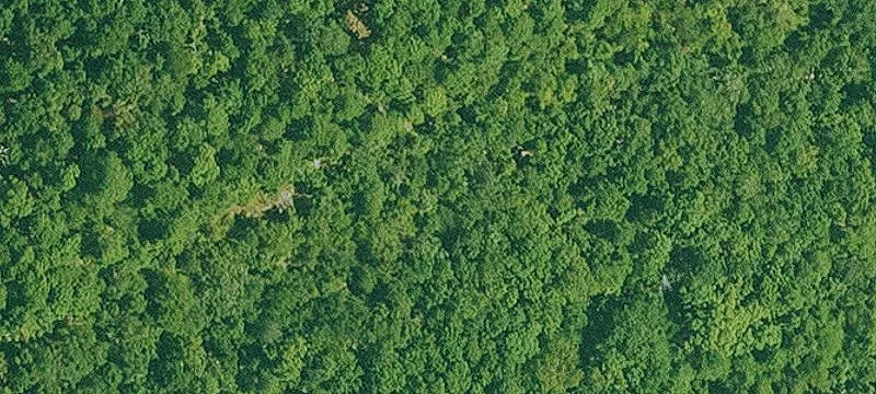 Highway 70 Land For Sale