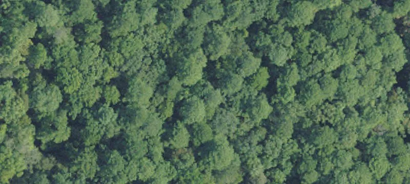 Franklin County Recreational Land For Sale