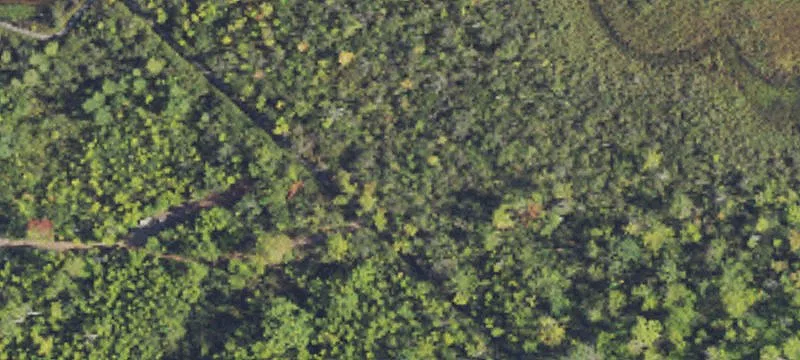 Vacant Land Near Commerce Lake