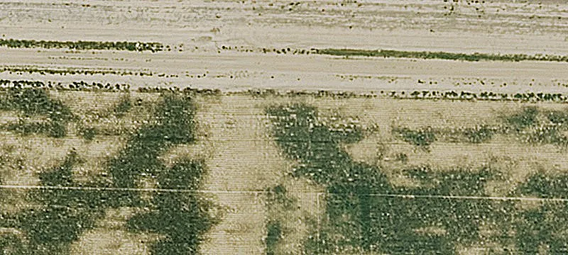 Tillable Land Investment Opportunity