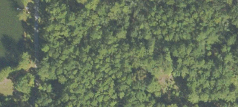 Highway 17 Land Opportunity
