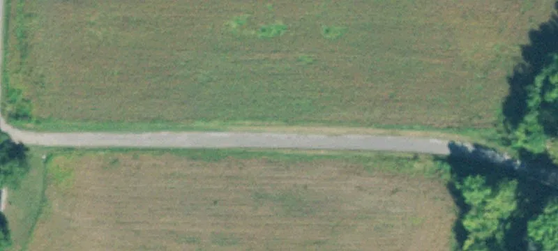 117.5 Acres Farm and Hunting