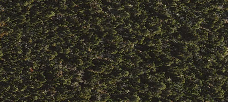 Land For Sale Haines, Oregon