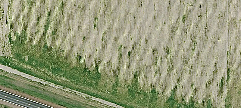 Dairy Farm on US-50