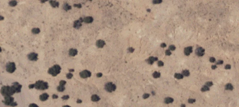 Residential Land Near West Mesa