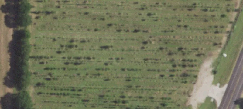 Land in Growing Tioga, Texas