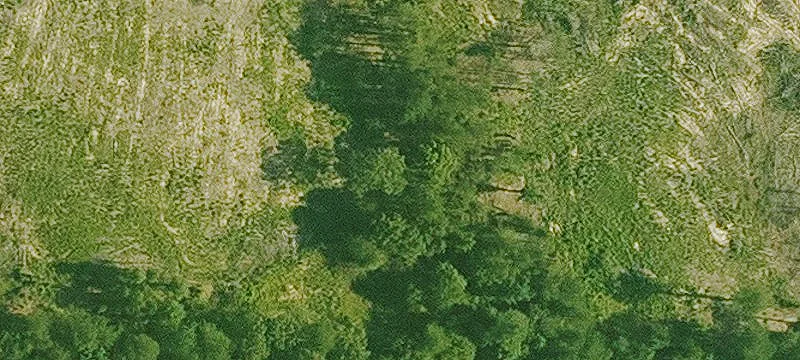 7.35 Acres Timberland Investment Opportunity