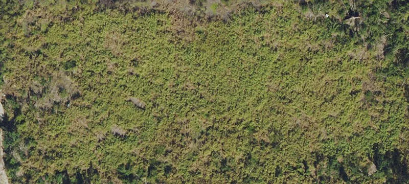 Fort Myers Development Opportunity