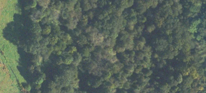 15 Acres Commercial Land Available
