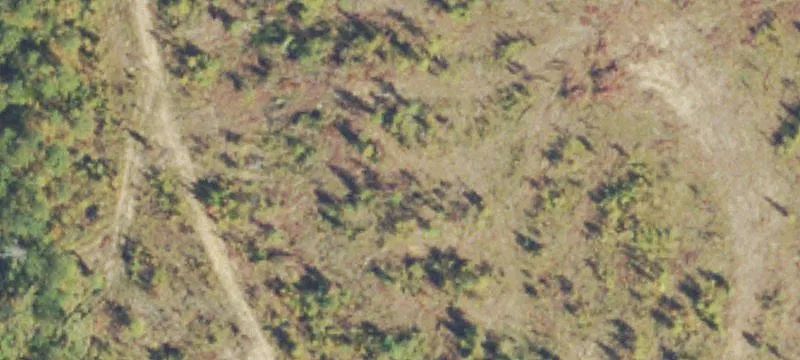 41 Acres Heavy Industrial Land