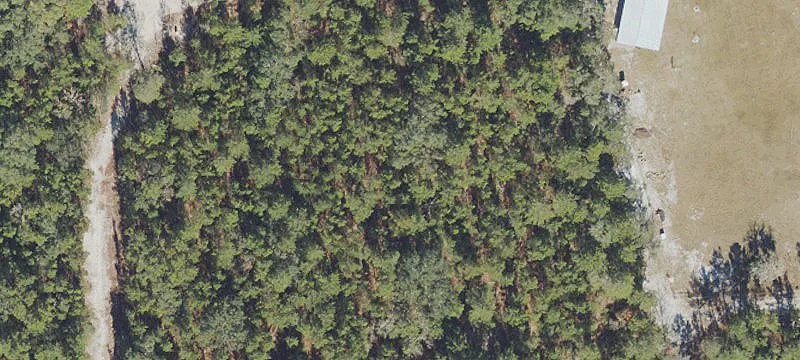 10 Acres of Land