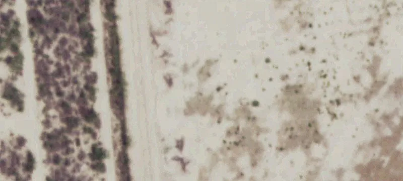 10-Acre RV Park on Highway
