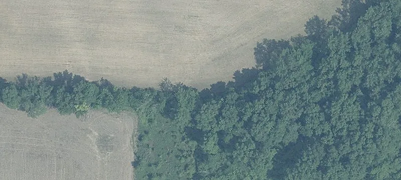 Prime Commercial Land Opportunity