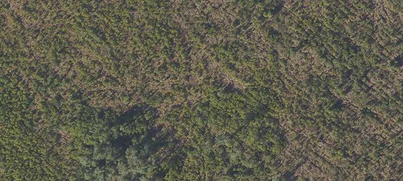 34 Acre Parcel on Highway