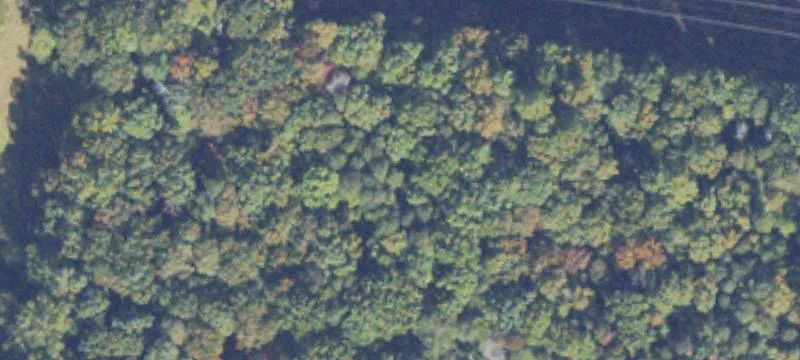 Stafford Land for Sale/Lease