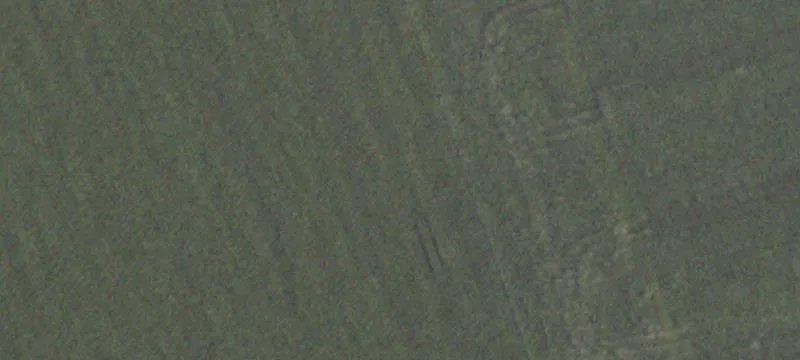 42 Acres in Coupland, Texas