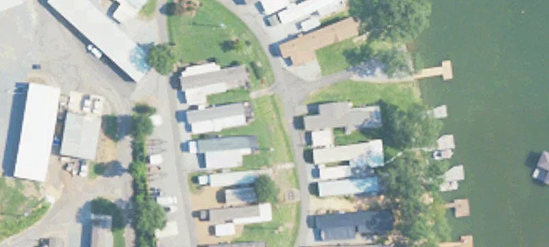 Lelola Ave