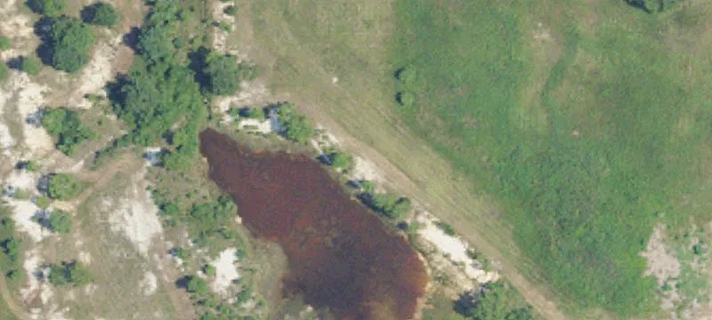 29451 Us Hwy 98