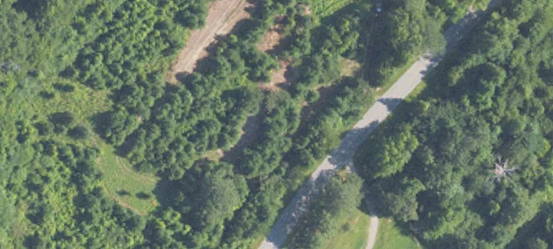 Steele, AL 35987