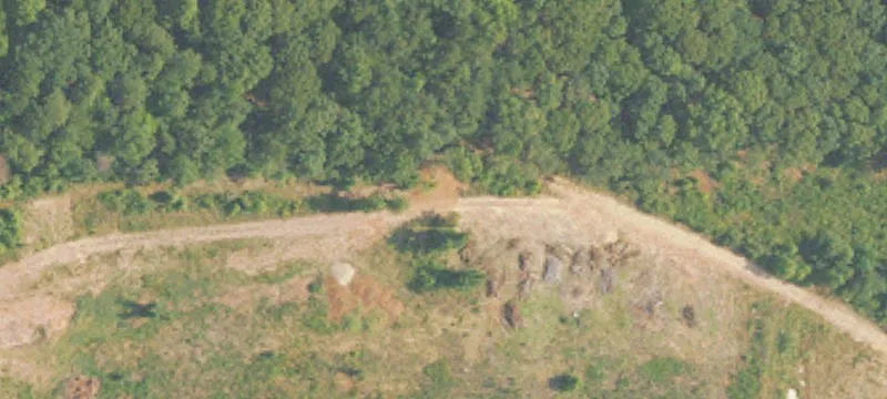 8181 Hwy 50