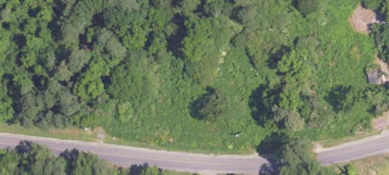 215 Trafford Rd