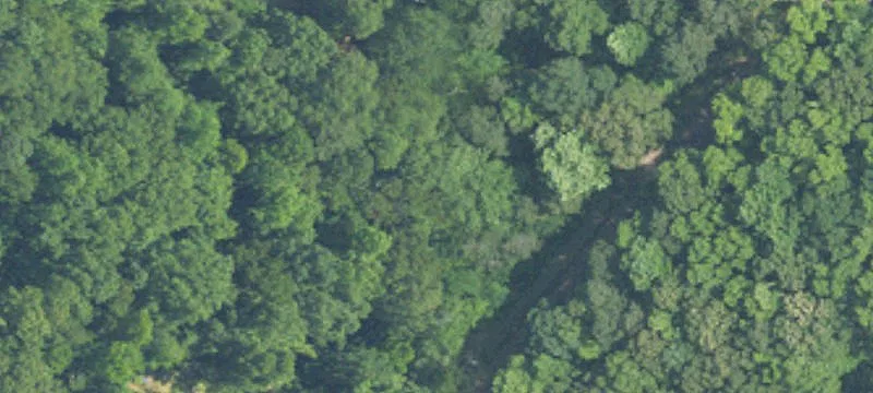 1820 Dorroh Rd