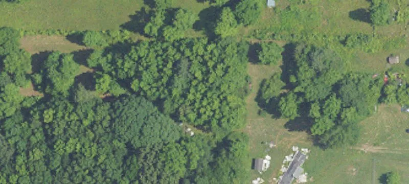 566 Loveless Rd