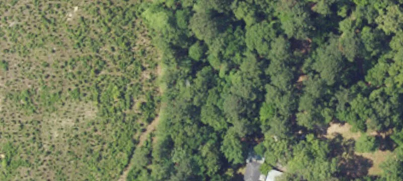 11155 Roberts Rd