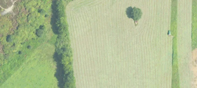 Lincoln, AL 35096
