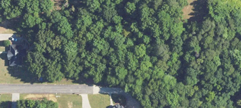 541 Jordan Ln