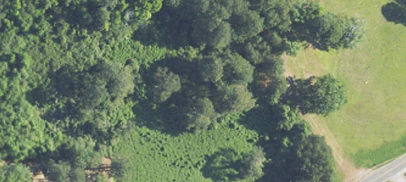9036 County Line Rd
