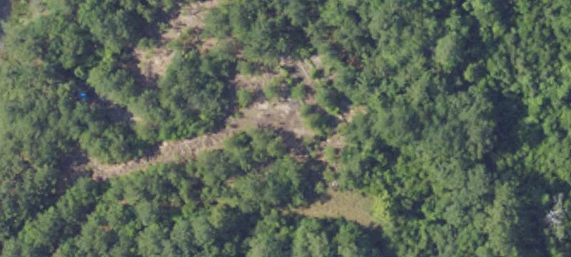 5398 Hwy 45