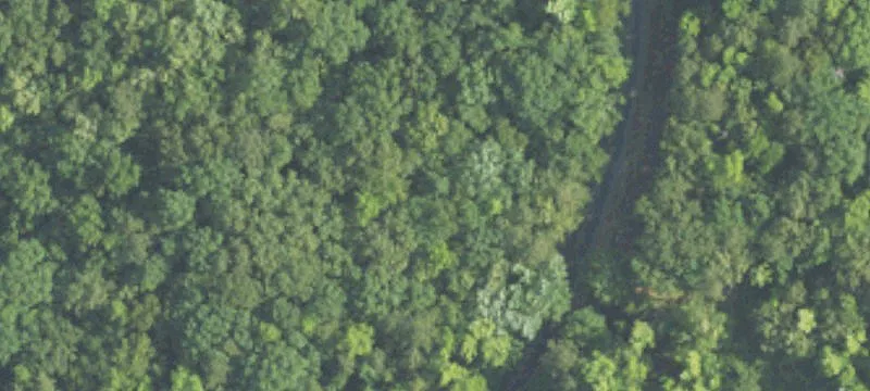 7180 Faucett Cut Off Rd
