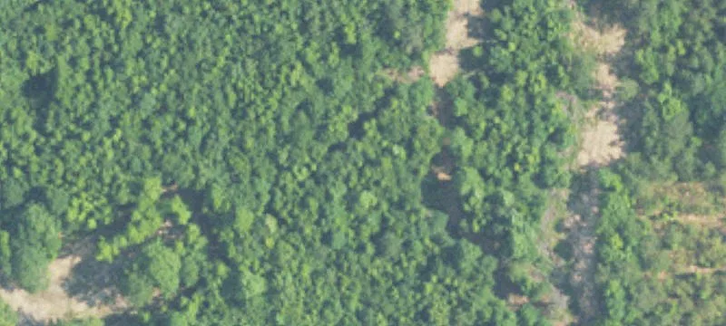 Sterrett, AL 35147