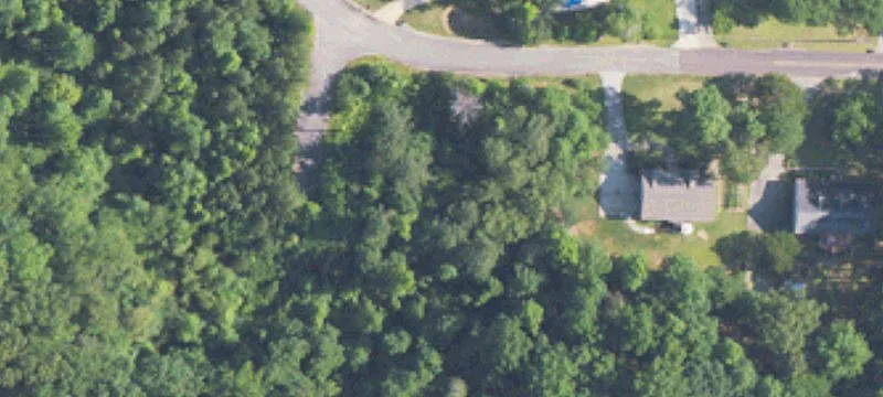 1384 Mcconnell Ln
