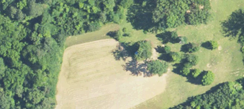 Quinton, AL 35130