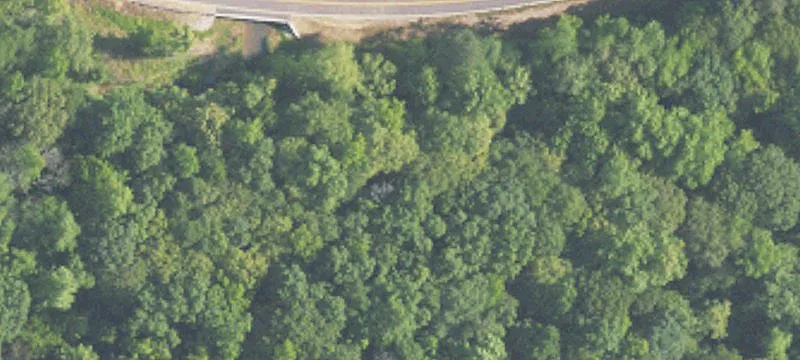 7101 Deer Hvn Rd