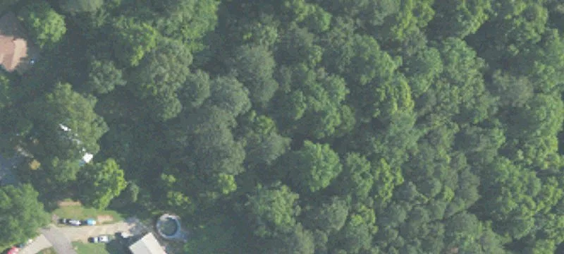 5319 Crst Rd