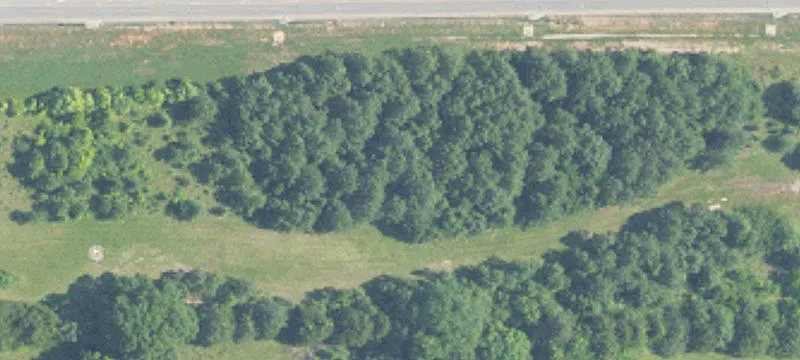 9 20th Acres On Cor Of Thompson Rd Hwy