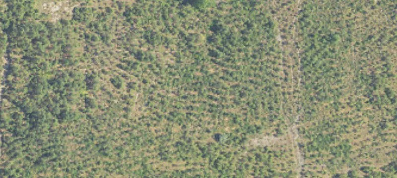 5501 Black Diamond Mine Rd