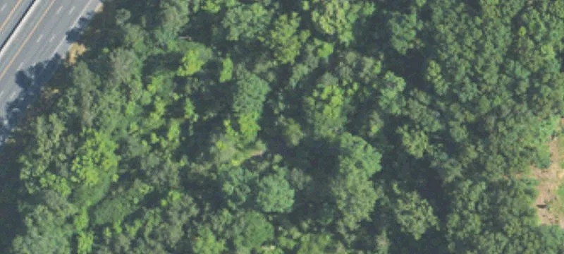 7365 Pineview Ln