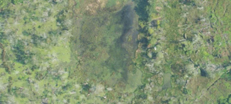 27232 Us Hwy 98